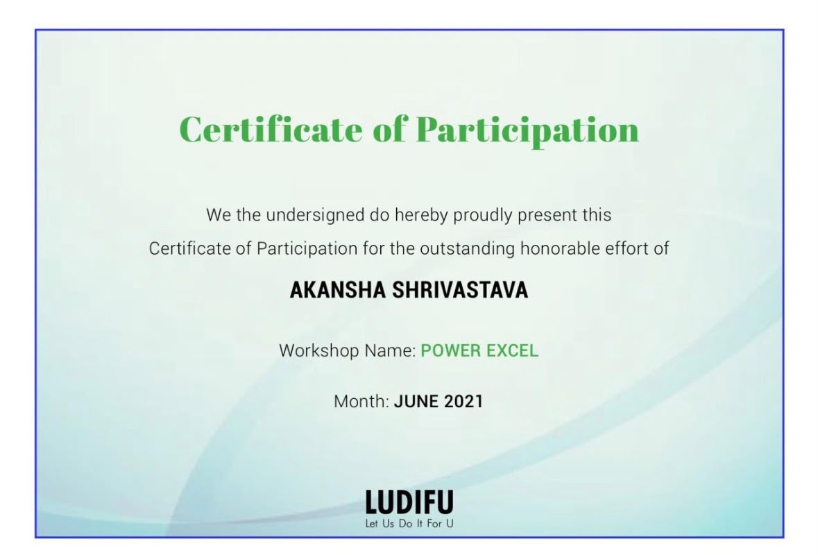 Power Excel Workshop certificate — Ludifu